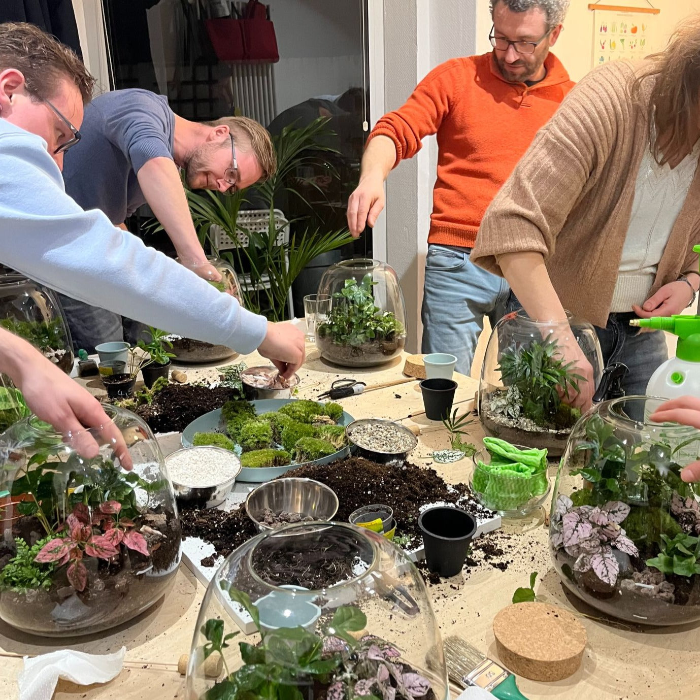 Workshop: Terrarium anlegen "Paar Edition" | Sa. 30. November