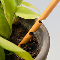 Wooden Soil Checker | Werkzeug zur Kontrolle der Bodenfeuchtigkeit