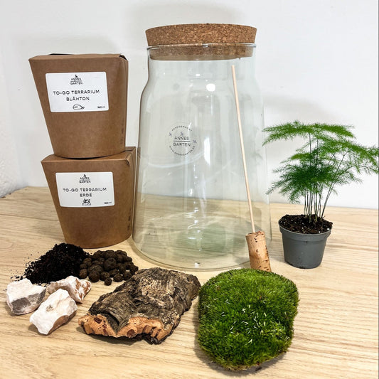 DIY Terrarium Geschenkset 