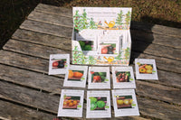 Gewächshaus Tomaten Box mit 8 Bio-Tomatensorten