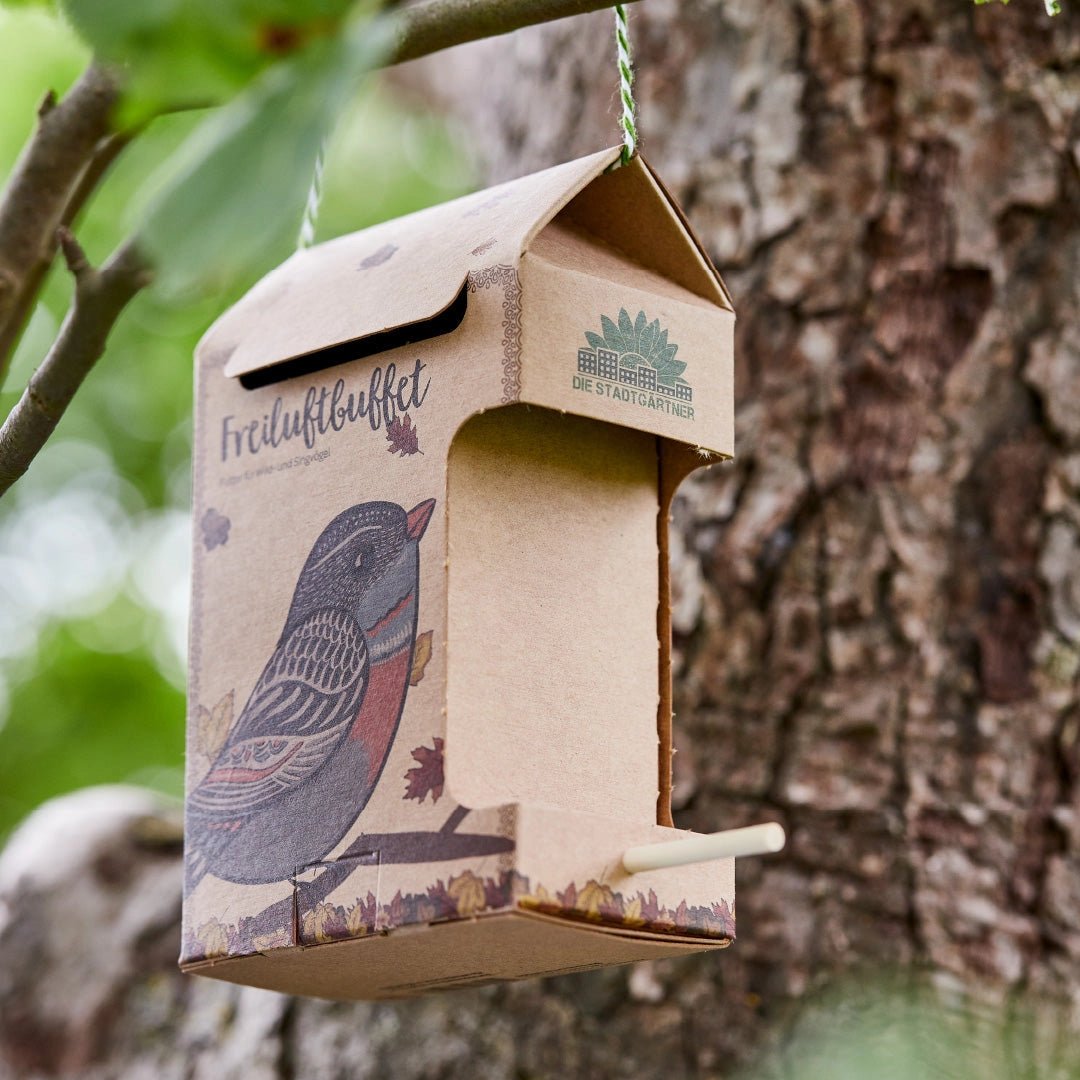 Freiluftbuffet Vögel