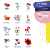 Blumensamen | 12 samenfeste Blumensorten