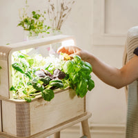 GreenBox Deluxe Bundle | Smart Gardening