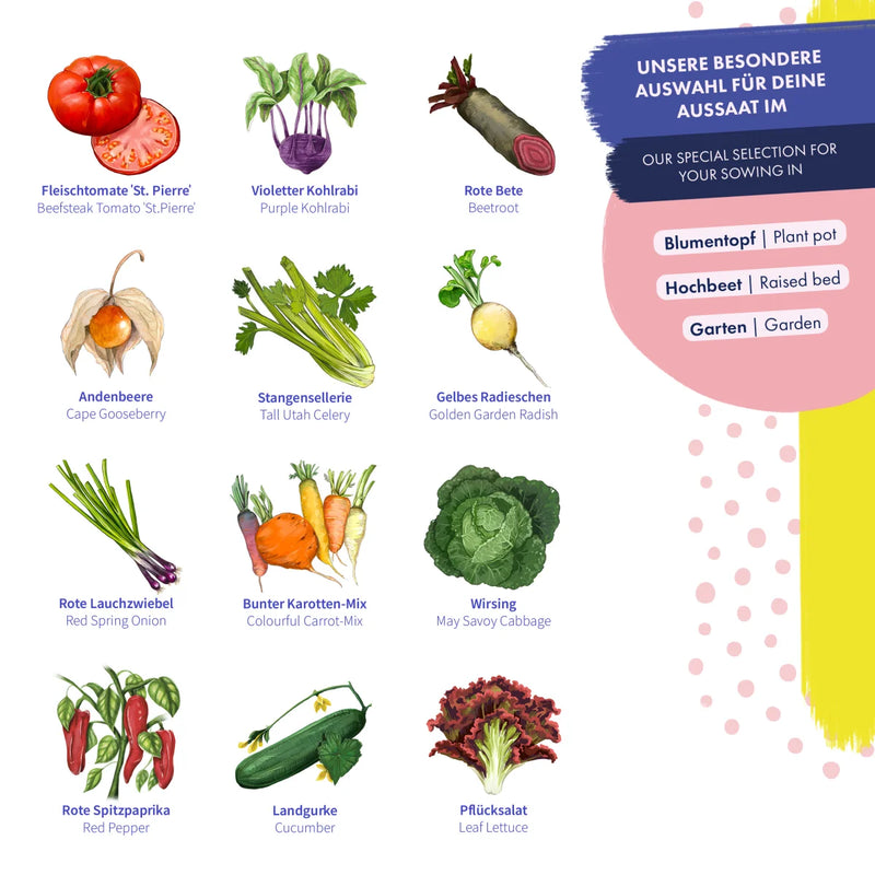 Gemüsesamen | 12 alte samenfeste Gemüsesorten