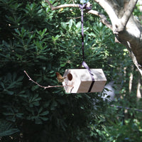 Nistkasten modular sechseck mit schwarzen Pplyesterband an einem Baum