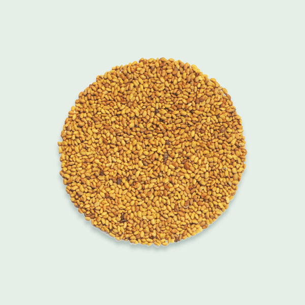 Bio-Keimsaat Alfalfa | 50g