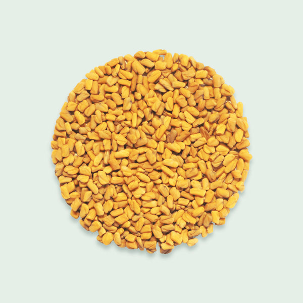 Bio-Keimsaat Bockshornklee | 50g