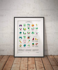 Garten Poster Inkompatible Nachbarn