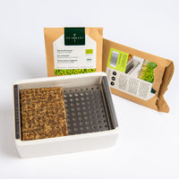 Detailaufnahme Microgreens Set mit Keimschale aus Porzellan und 2 Saatpads