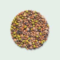 Bio-Sprossenmix Salat | 50g