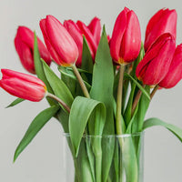 Strong Love Tulpen in der Vase
