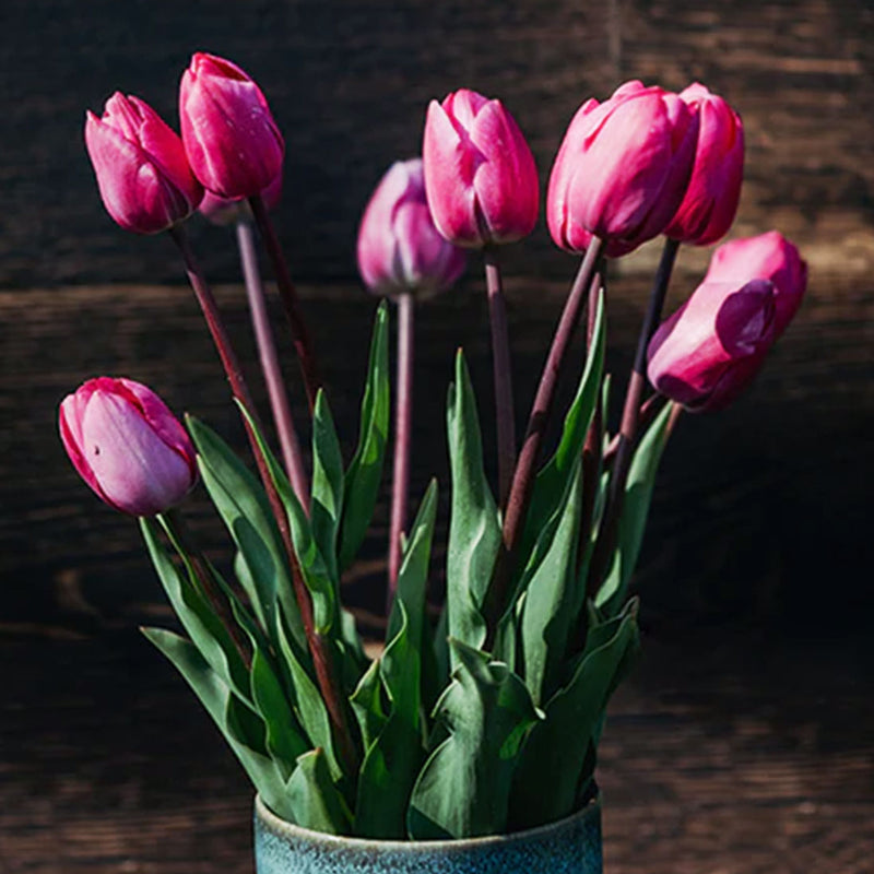 Tine Tulpen in der Vase