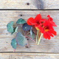 Kapuzinerkresse Blätter und Blüten auf einem Holztisch