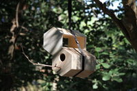 Modulares Vogelfutterhaus. Aufgehängt mit einem schwarzen Band an einem Ast zusammen mit einem Nistkasten
