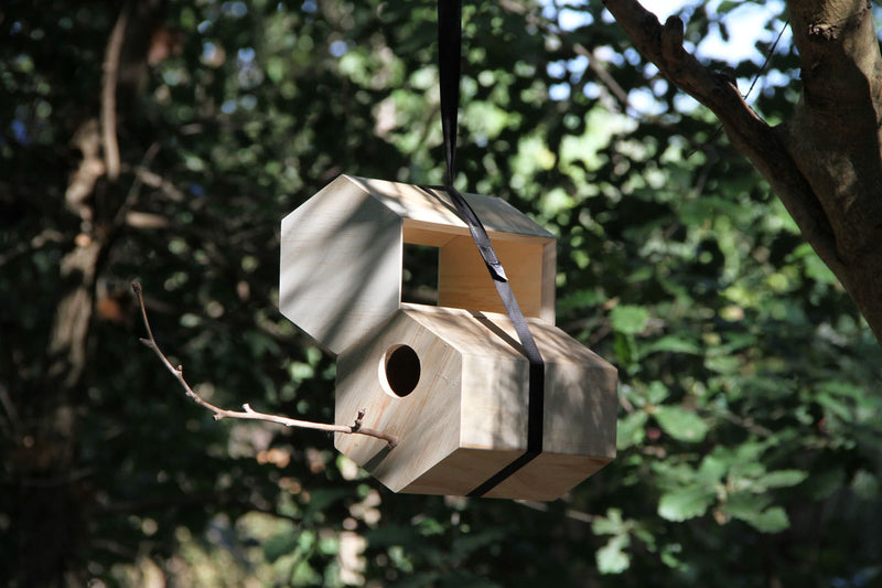 Modulares Vogelfutterhaus. Aufgehängt mit einem schwarzen Band an einem Ast zusammen mit einem Nistkasten